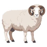 Ram Icon Farm Animal Male Sheep for Wool Production vector