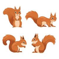 Set of Squirrel Icons Wild Mammal Forest Animals vector