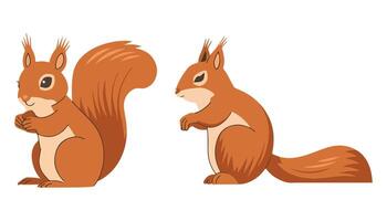 Set of Squirrel Icons Wild Forest Mammals with Fluffy Tails vector