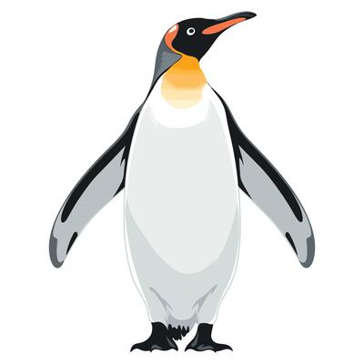 Penguin Icon Big Emperor or King Penguin