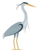 Set of Heron Birds in Different Poses Flying and Standing vector