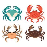 Crab Bundle Various Crab Species Collection vector