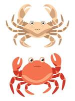 Crab Bundle Various Types of Crustaceans vector