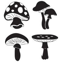 Set of Different Mushrooms Illustration vector