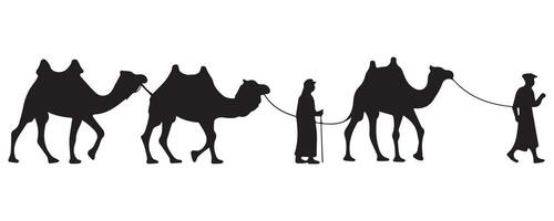 Set of Camel Illustrations on White Background vector