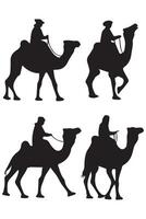 Camel Illustrations on White Background vector