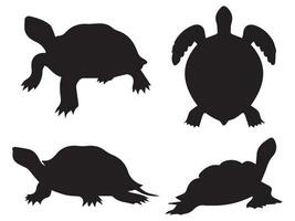 Turtle Silhouette Design vector