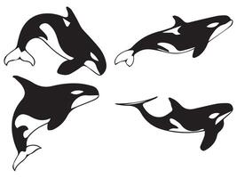 funny Orca Whale Silhouette in Various Styles vector
