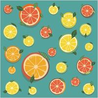 Collection of Citrus Slices Orange, Lemon, Lime, Grapefruit Icons vector