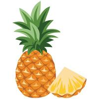 Pineapple Healthy Diet Concept, Ripe and Delicious vector