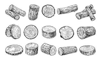 Handdrawn Wood Logs Collection vector