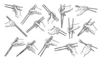 Handdrawn Chopstick Grip Collection vector