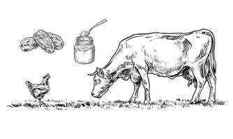 farm field handdrawn collection vector