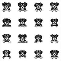 Pe eking Wetterhoun Dog vector