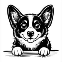 Adorable Corgi Do vector