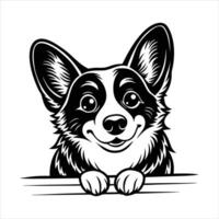Pembroke Welsh Corgi Dog head vector