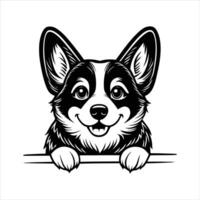 Welsh Corgi Breed vector