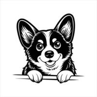 Peeking Welsh Corgi Dog vector