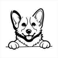 Pembroke Welsh Corgi Dog vector