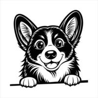 Welsh Corgi Dog Peeking vector