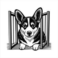 Welsh Corgi Peeking Face vector
