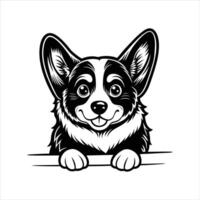Welsh Corgi Dog Peeking svg vector