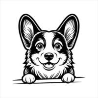 Pembroke welsh corgi vector