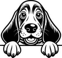 Beagle dog sitting with vector