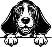 Beagle puppy on red vector
