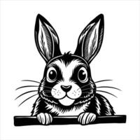 Californian Rabbit Dog Vecto vector