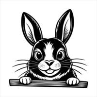 English Spot Rabbit vector