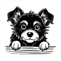 Harlequin Rabbit svg vector