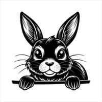 Mini Satin Rabbit. vector
