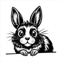 Light Brown Lionhead Rabbit vector