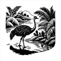 Southern Cassowary Stands in the Rainforest vector