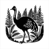 cassowary bird walking vector