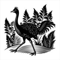 Baby Cassowary Vectors
