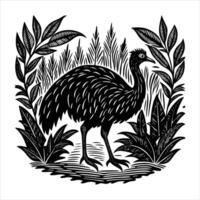 Cassowary cartoon isolated on white background vector