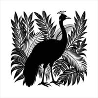 Realistic Cassowary Vectors
