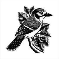 Blue Jay Contour Drawing Line Engraving vector