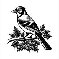 Eurasian Jay Perched on Mossy vector