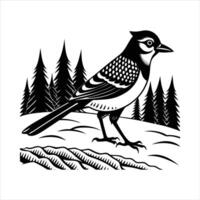 Eurasian jay standing vector