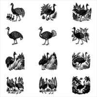 Cartoon funny cassowary isolated on white background vector