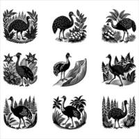 Cassowaries Flightless Bird vector
