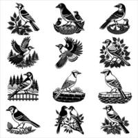 Birds set of twelve isolated images vector