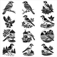 Eurasian Jay Bird vector