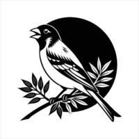 Bullfinch Bird Pyrrhula Pyrrhula Singing vector