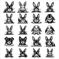 Cartoon happy rabbits collection set vector
