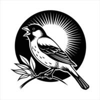 Bullfinch Bird Pyrrhula Pyrrhula Singing in a Tree vector