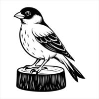 Strange Bullfinch in the Alps vector